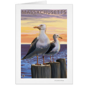 Cartão MassachusettsSea Gulls a cena