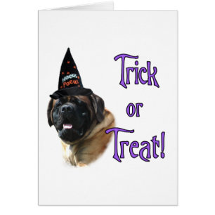 Cartão Mastiff (damasco)