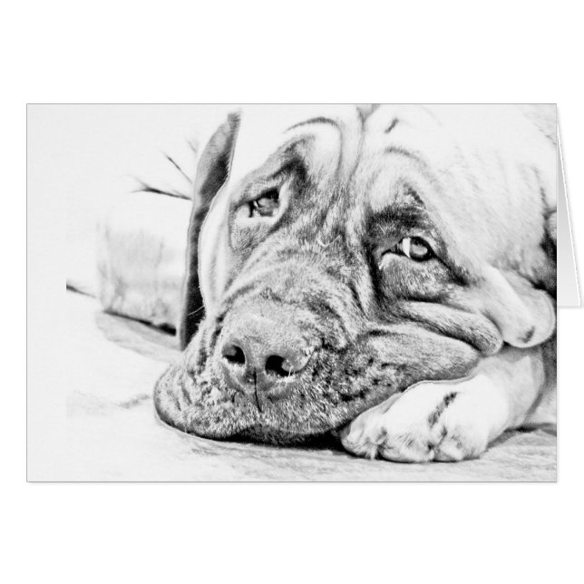 Cartão Mastiff preguiçoso (Frente Horizontal)