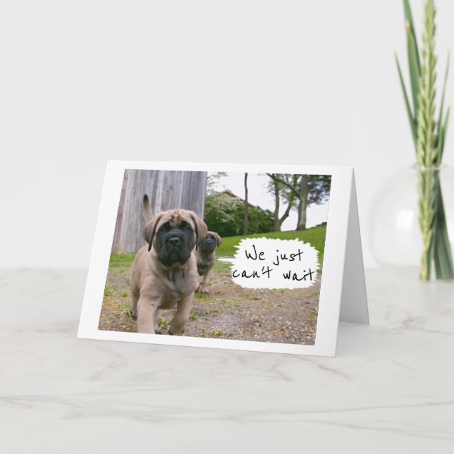 CARTÃO MASTIFF'S JUST CAN'T WAIT TO SAY *HAPPY BIRTHDAY* (Frente)