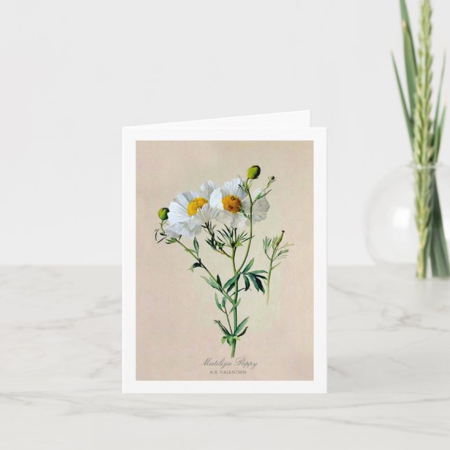 Cartão Matilija Poppy Note Card (Frente)