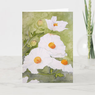 Cartão Matlilija Poppies I card
