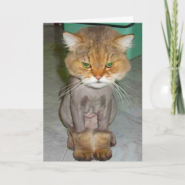 Cartão mau aniversário (Frente)