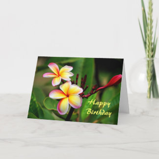Cartão Maui Plumeria Flowers, Birthday