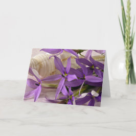 Cartão Mauve Starshine Laurentia