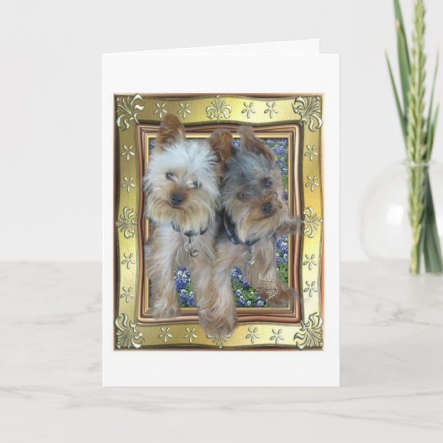 Cartão Max and Zach Card (Frente)