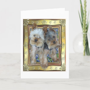 Cartão Max and Zach Card