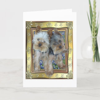 Cartão Max and Zach Card