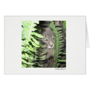 Cartão Max, o Gato nº 2