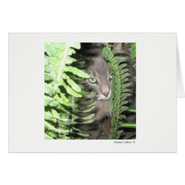 Cartão Max, o Gato nº 2 (Frente horizontal)