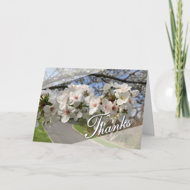 Cartão May Flowers Thank You Card (Frente)