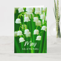 May Lily of the Valley Birth Month Flower Birthday