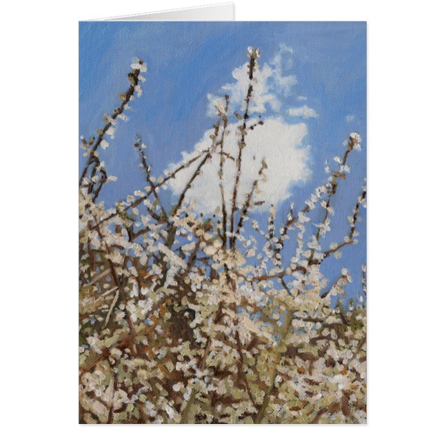 Cartão Mayflower 2012 (Frente)