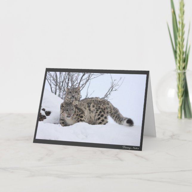 Cartão Me and My Pal (Frente)