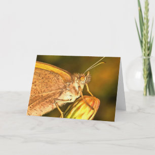 Cartão Meadow Brown Beauily Button Art