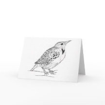 Meadowlark