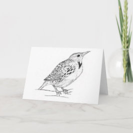 Cartão Meadowlark