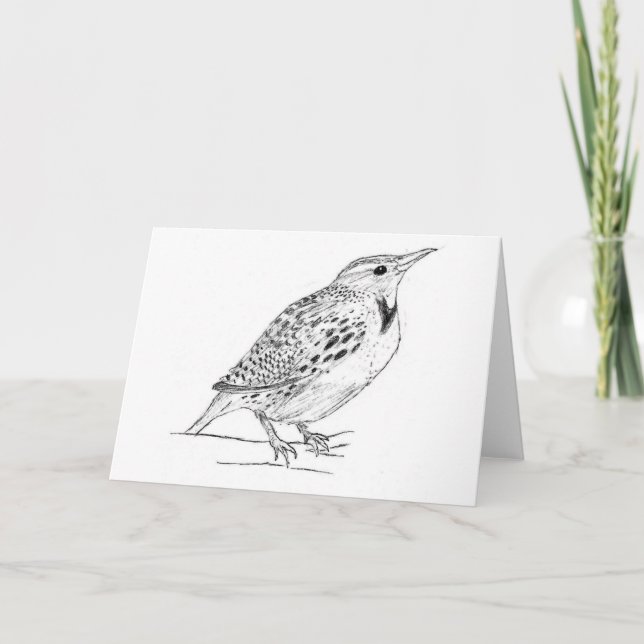 Cartão Meadowlark (Frente)