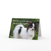 Meant to Be Happy Birthday papillon card