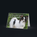 Cartão Meant to Be Happy Birthday papillon card<br><div class="desc">Wish them Happy Birthday with a photo of a furry life time companion. Giorgio is a tricolored papillon from Hershey Kiss Kennels who loves to send birthday wishes,  hugs,  and kisses.</div>