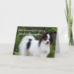 Cartão Meant to Be Happy Birthday papillon card<br><div class="desc">Wish them Happy Birthday with a photo of a furry life time companion. Giorgio is a tricolored papillon from Hershey Kiss Kennels who loves to send birthday wishes,  hugs,  and kisses.</div>