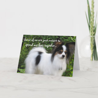 Cartão Meant to Be Happy Birthday papillon card