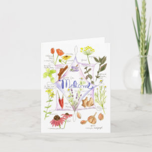 Cartão Medicinal Herbs Echinacea Poppy Garlic Notecard