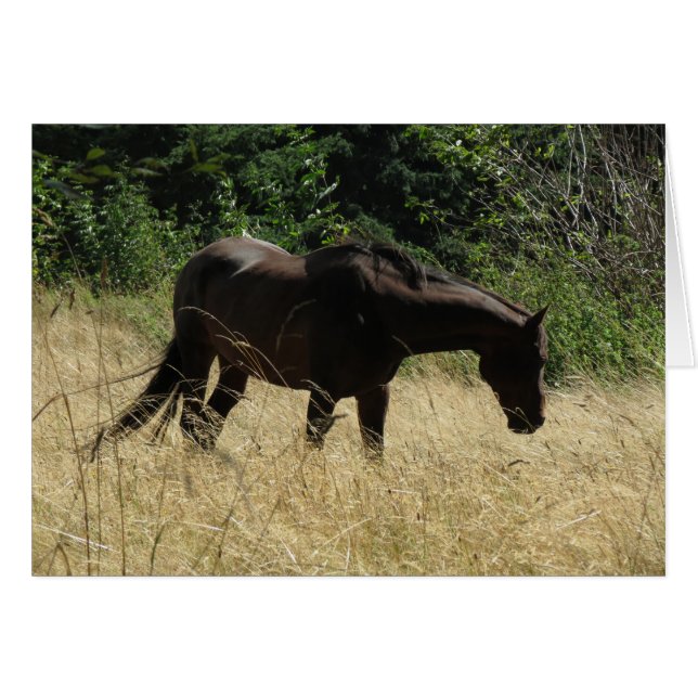 Cartão Meditação de Darma (Frente Horizontal)