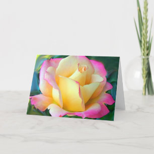 Cartão Meditação Em Um Rosa