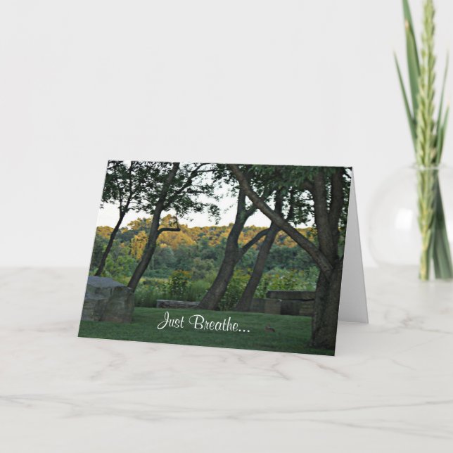 Cartão Meditation in the Meadow (Frente)