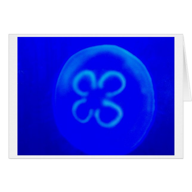 Cartão medusa (Frente Horizontal)