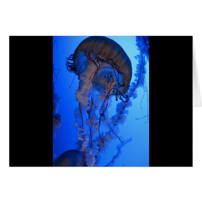 Cartão Medusa (Frente Horizontal)