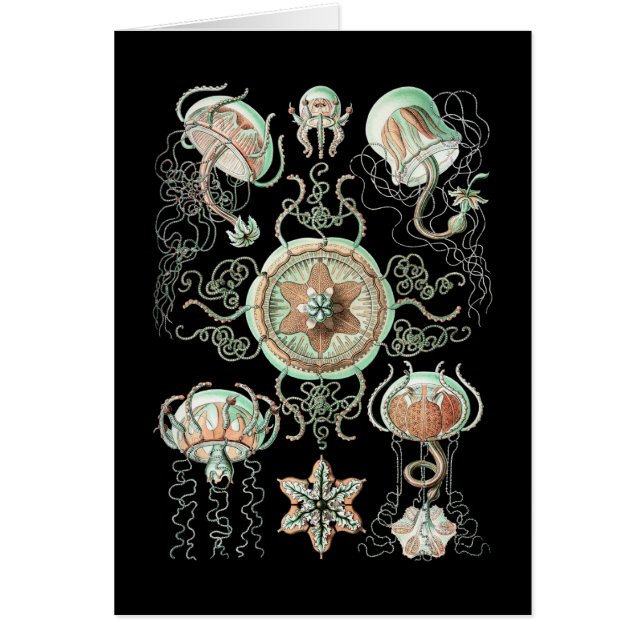 Cartão Medusa (Frente)