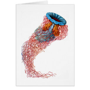 Cartão Medusa da juba do leão