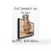 Meerkat 3D | Apenas aparecendo para dizer... Qualq