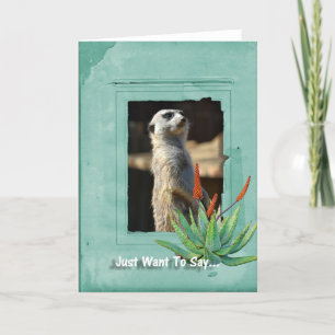 Cartão Meerkat Collection Note Card