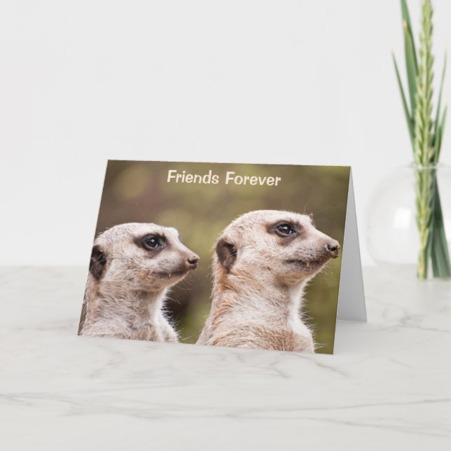 Cartão Meerkat Friends Forever Personalized (Frente)