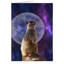 Cartão Meerkat Na Noite Azul De Lua Cheia,