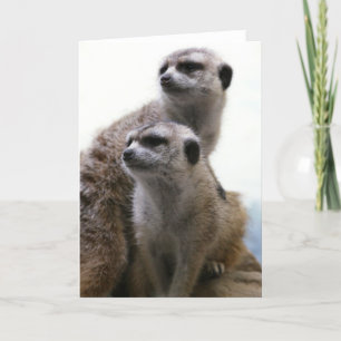 Cartão Meerkat Pair Greeting Card