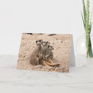 Cartão Meerkats In A Huddle Greeting Card