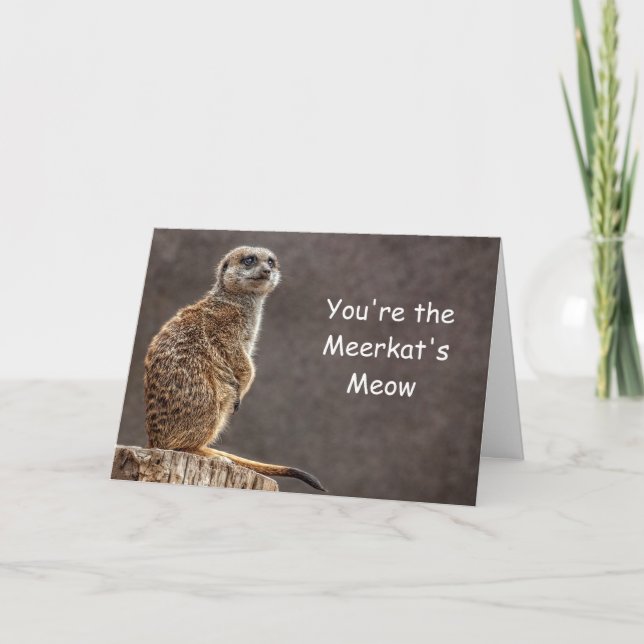 Cartão Meerkat's Meow Birthday Card (Frente)