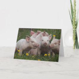Cartão Meeting of the Three Little Pigs