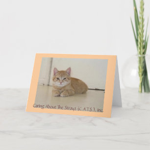 Cartão Meggie Notecards