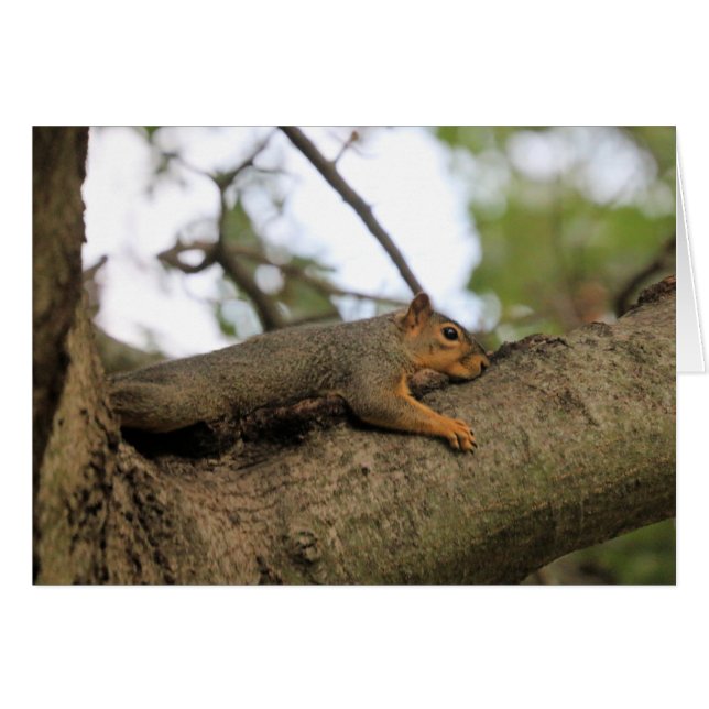 Cartão Meh (Frente Horizontal)