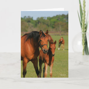 Cartão Meia-Cavalo Quarto E Pé Em Pé