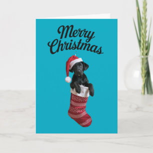 Cartão Meia de Natal do Labrador Preto