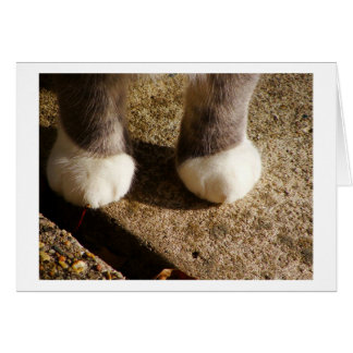 Cartão Meias Correspondentes