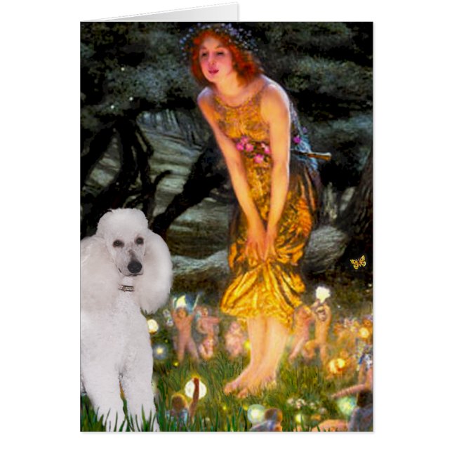 Cartão MeidEve - Poodle Padrão Branco (Frente)