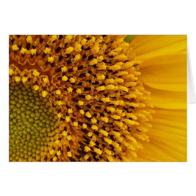 Cartão meio círculo (Frente Horizontal)