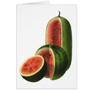 Cartão Melancias Vintage Altas Redondas, Alimento Orgânic